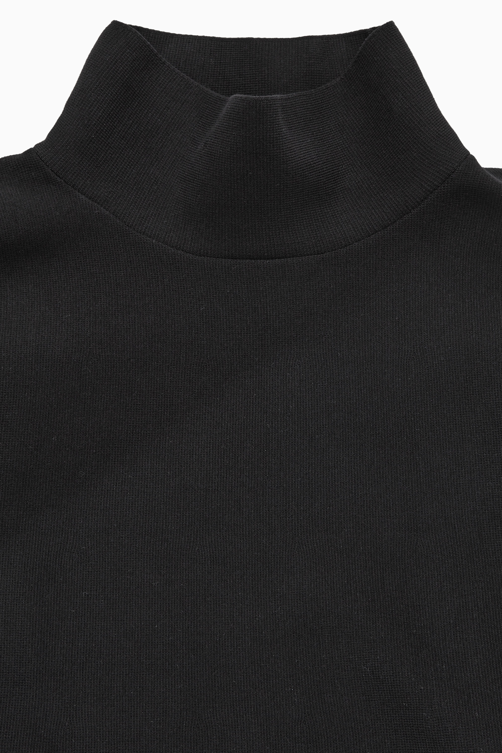 ⚫︎TK0509⚫︎ SUPER HIGH GAUGE SHEER RIB TURTLE NECK L/S TEE - AURALEE