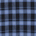 blue / check