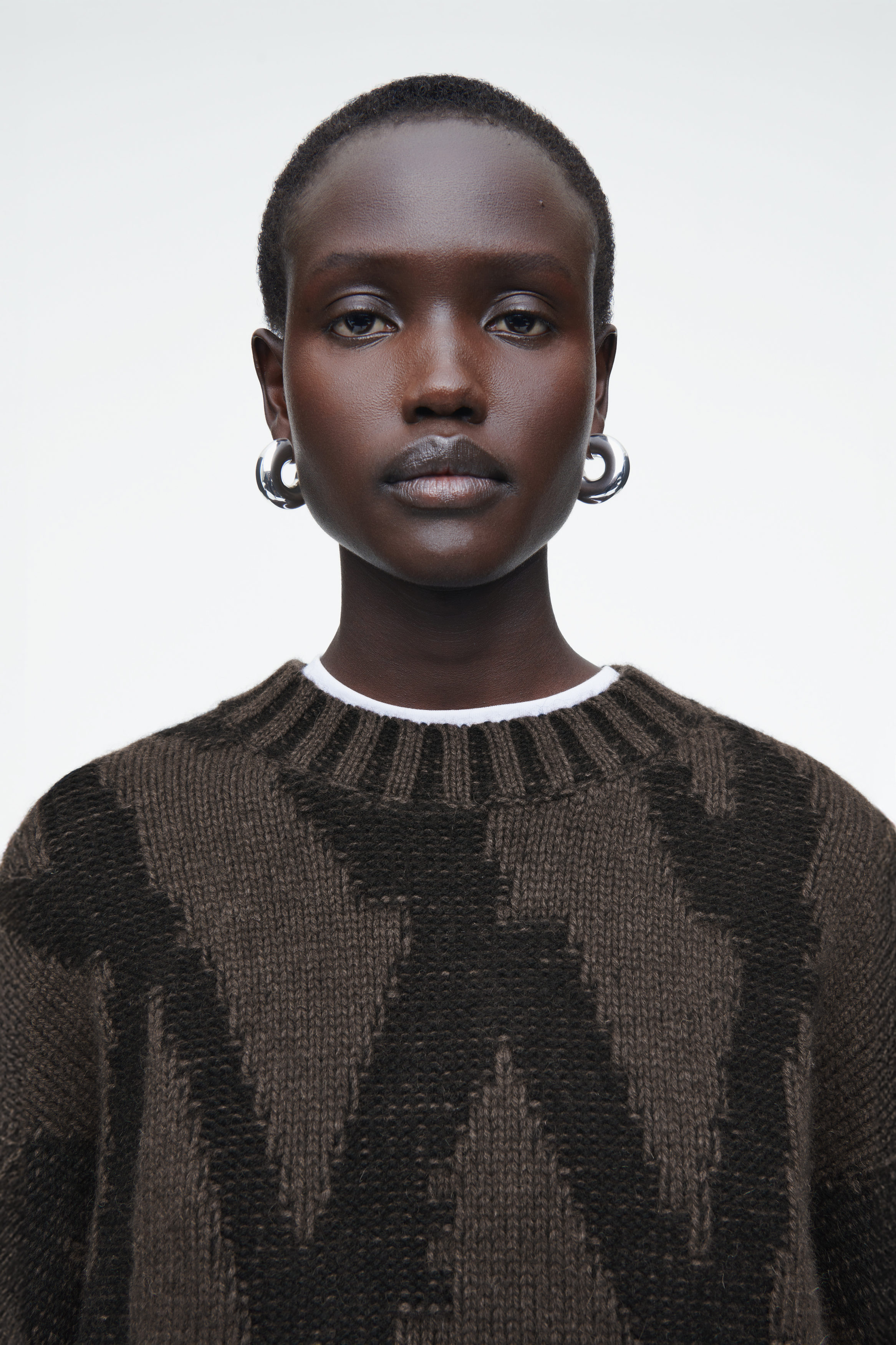 B.TRILL■Jacquard Logo Two-Tone Knitwear ■送料込 ABSTRACT WOOL-JACQUARD JUMPER - BROWN / HOUNDSTOOTH | COS