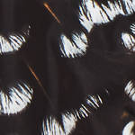 black / feather print