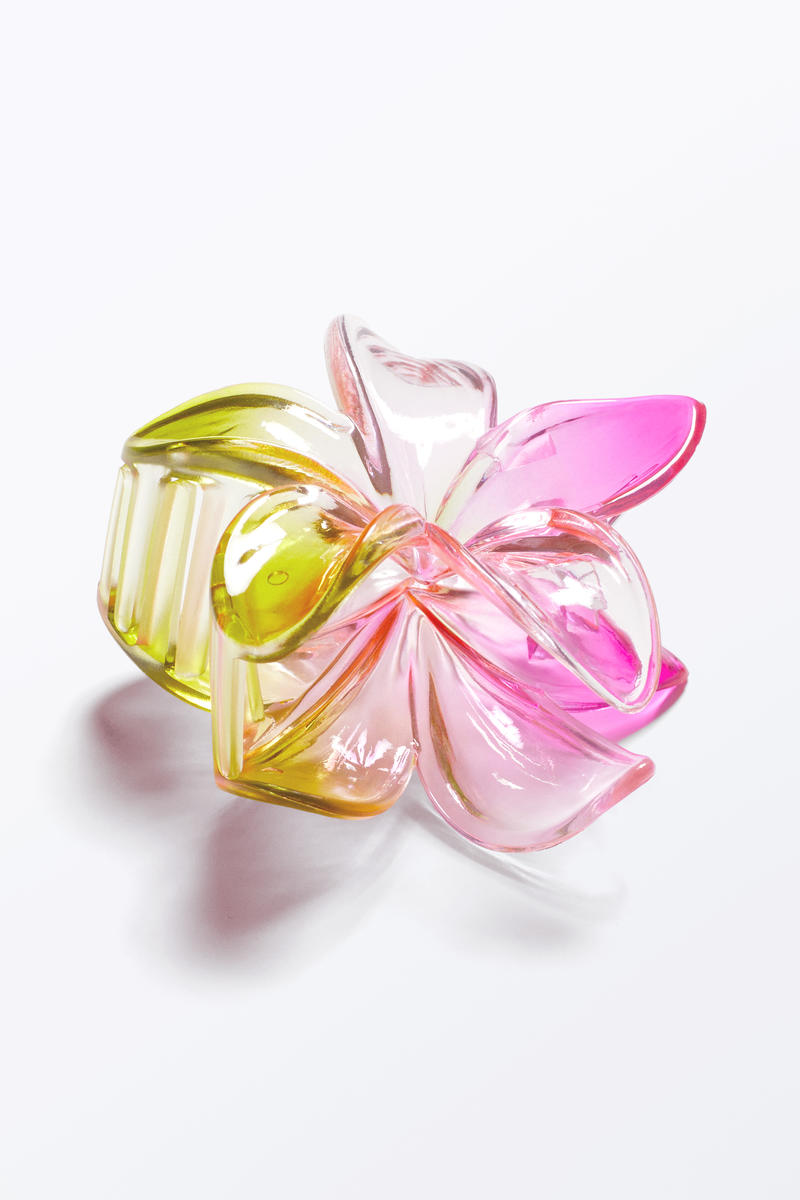 Genomskinlig hårklämma