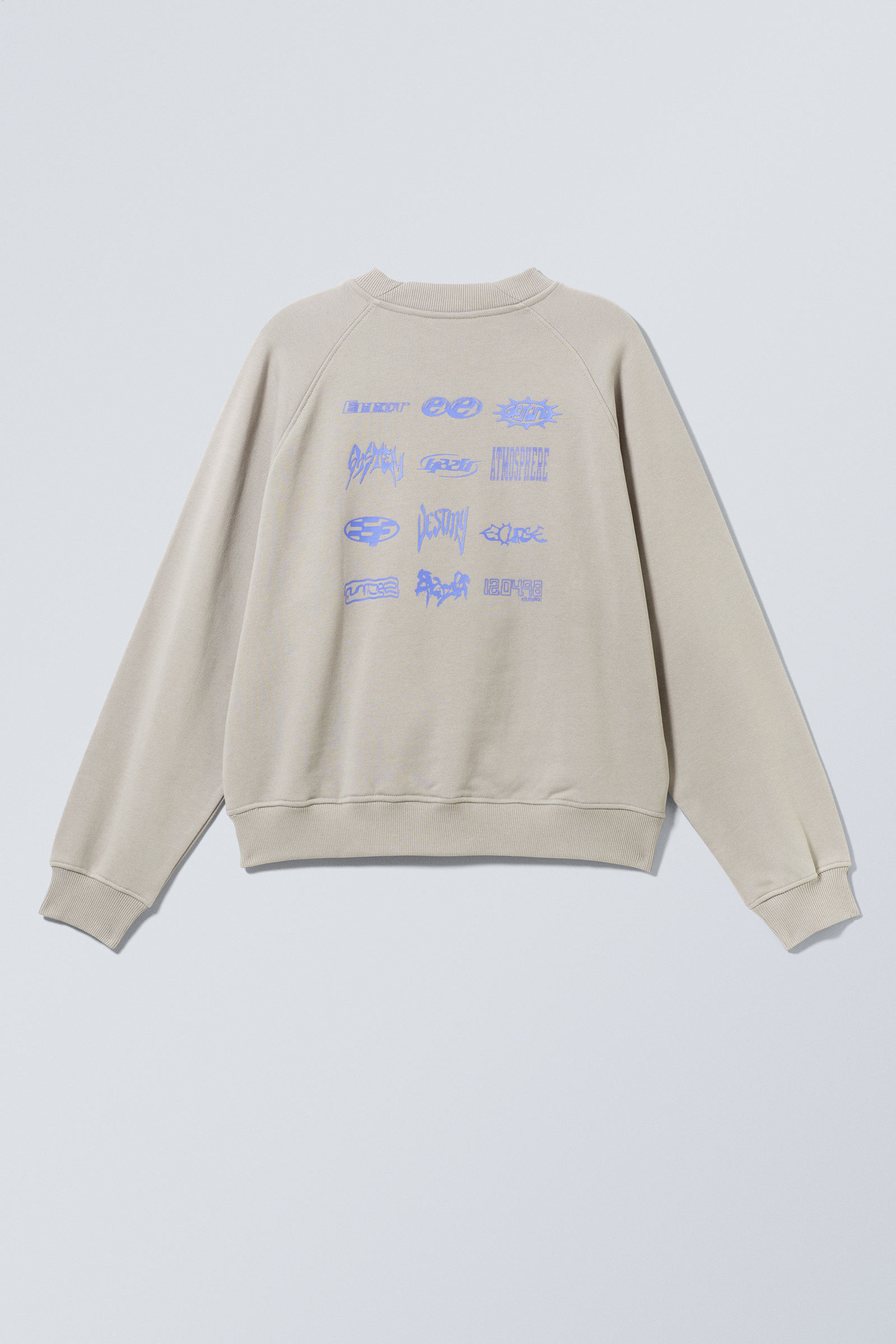 Atmosphere Dusty Mole - Regular Raglan Graphic Sweatshirt - 5