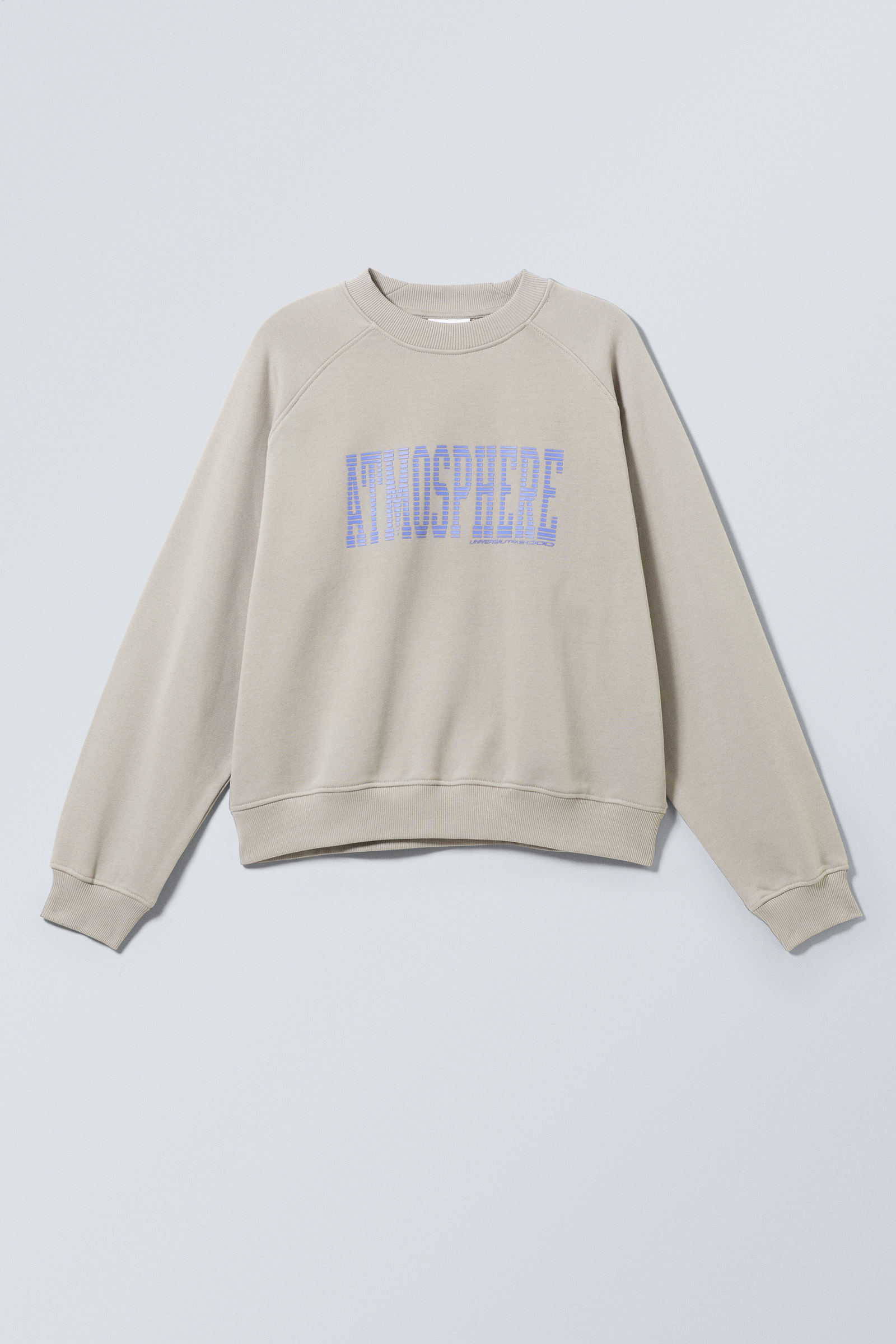 Atmosphere Dusty Mole - Regular Raglan Graphic Sweatshirt - 1