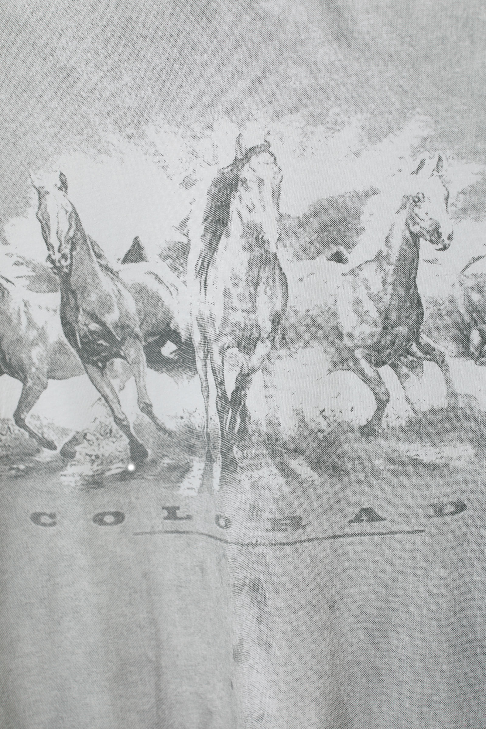 Trompe L'oeil Colorado Horses - Relaxed Graphic Long Sleeve Top - 5