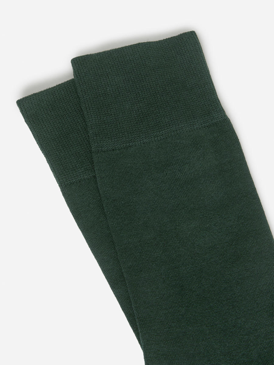 Chaussettes en coton mercerisé unies - Vert forêt foncé - Homme - 0640437033