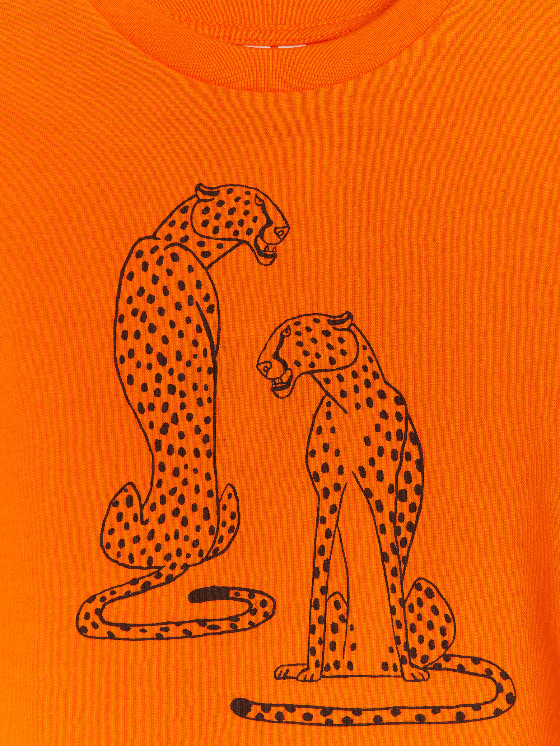 Camiseta de manga larga - Naranja - Corte holgado - Children - StillMedia/DescriptiveDetail - 1