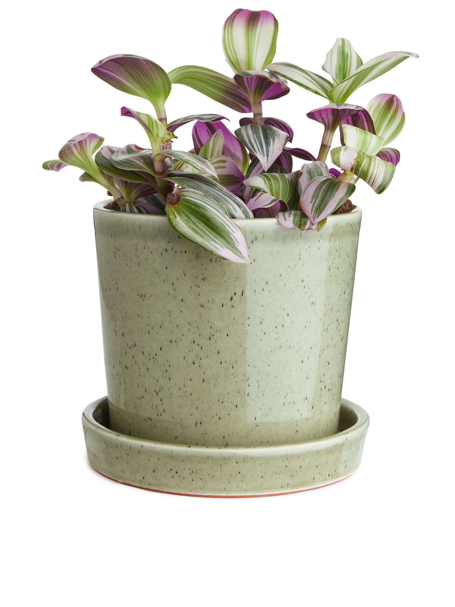 Terracotta Pot 12 cm - Light Green - Homeware - StillMedia/DescriptiveDetail - 2