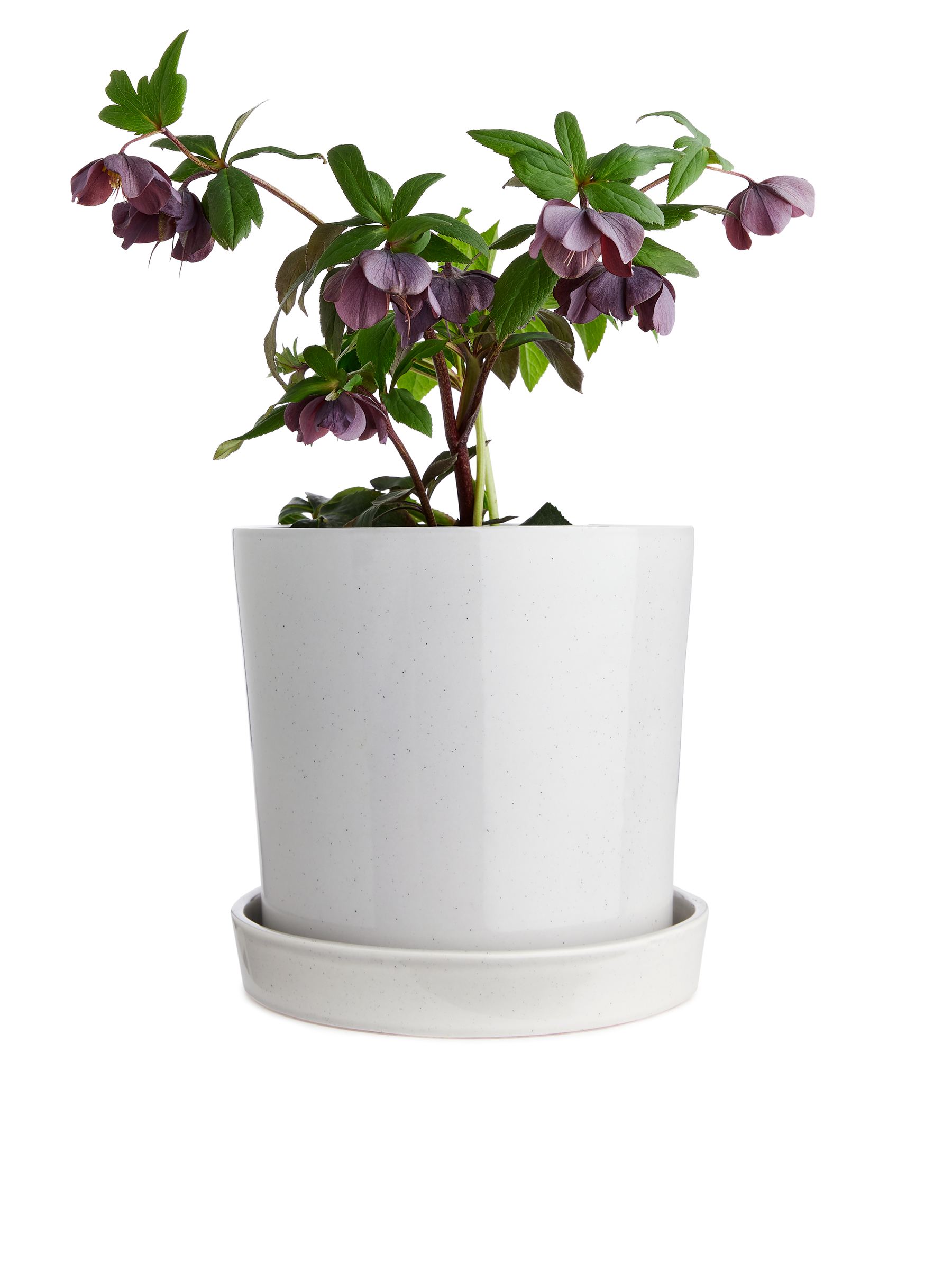 Macetero de terracota de 22 cm - Light Grey - Homeware - StillMedia/DescriptiveDetail - 1