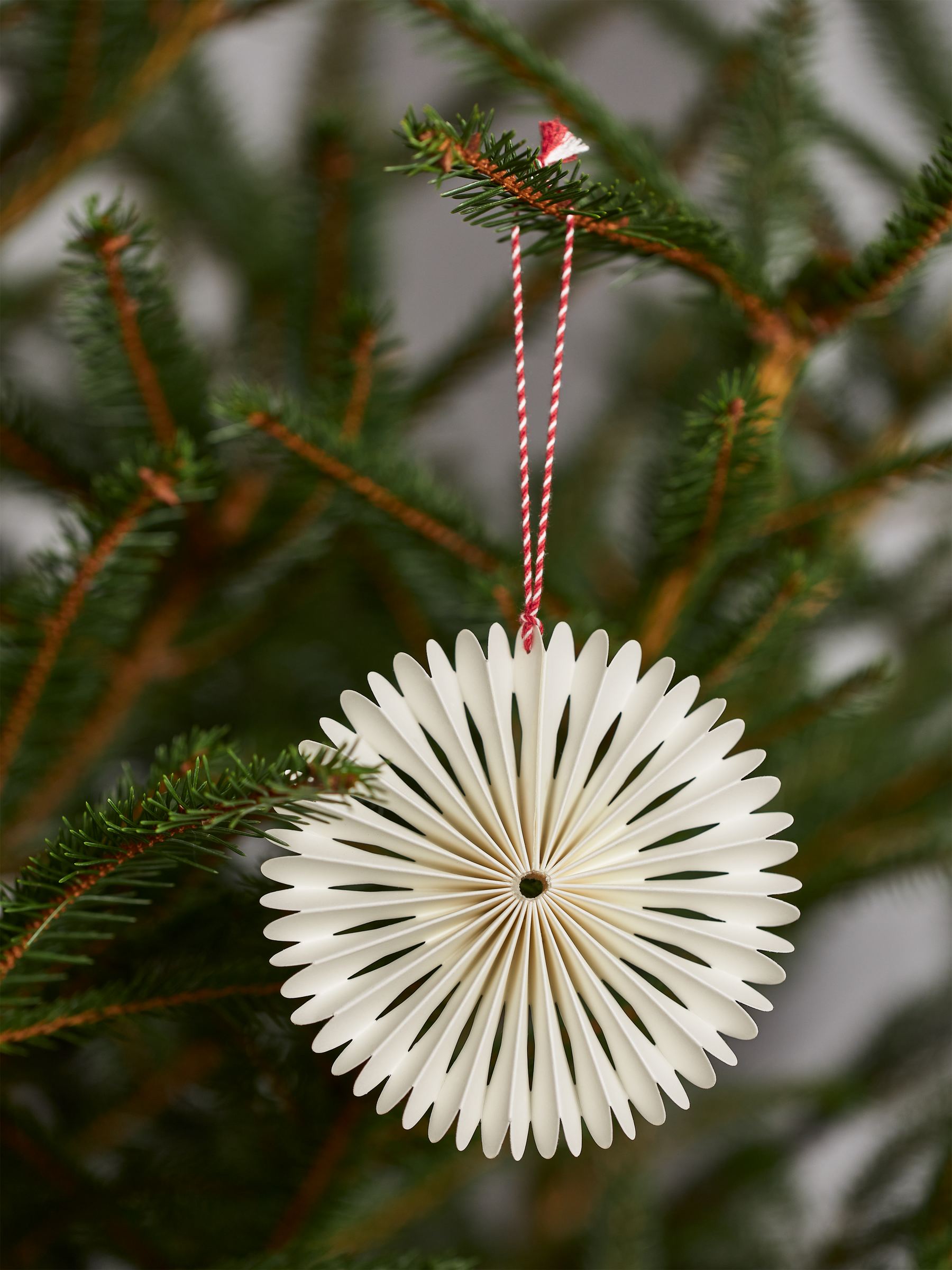 Adornos de papel de 10,5 cm - Blanco - Homeware - StillMedia/DescriptiveStillLife - 2