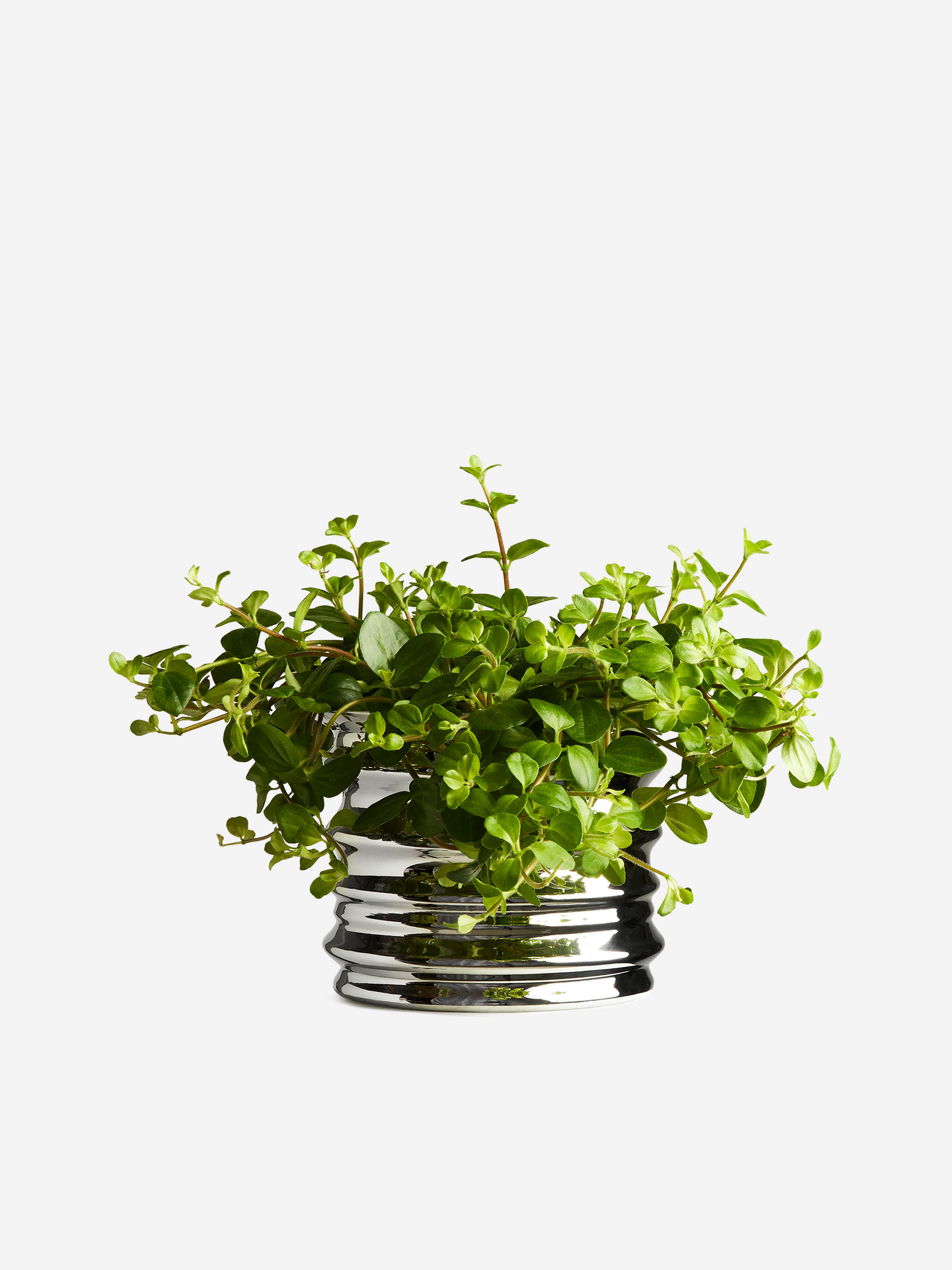 Metal Flower Pot 11 cm - SIlver - Homeware - StillMedia/DescriptiveStillLife - 2