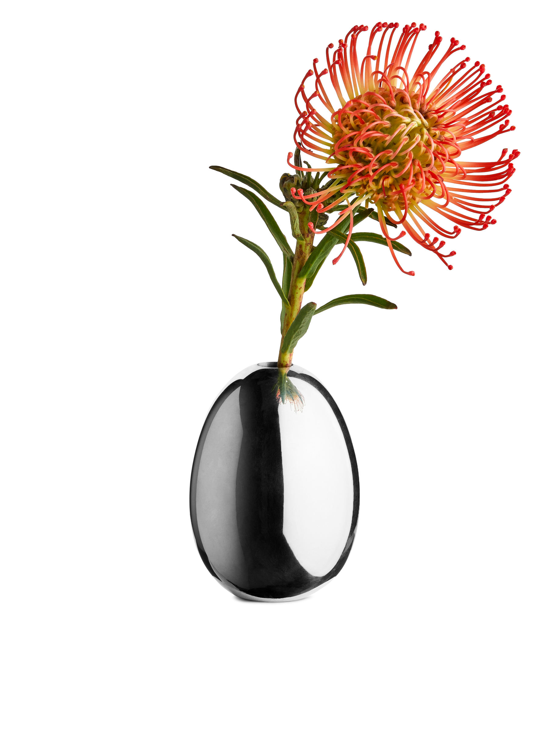 Silver-Plated Brass Vase - Silver - Homeware - StillMedia/DescriptiveStillLife - 1