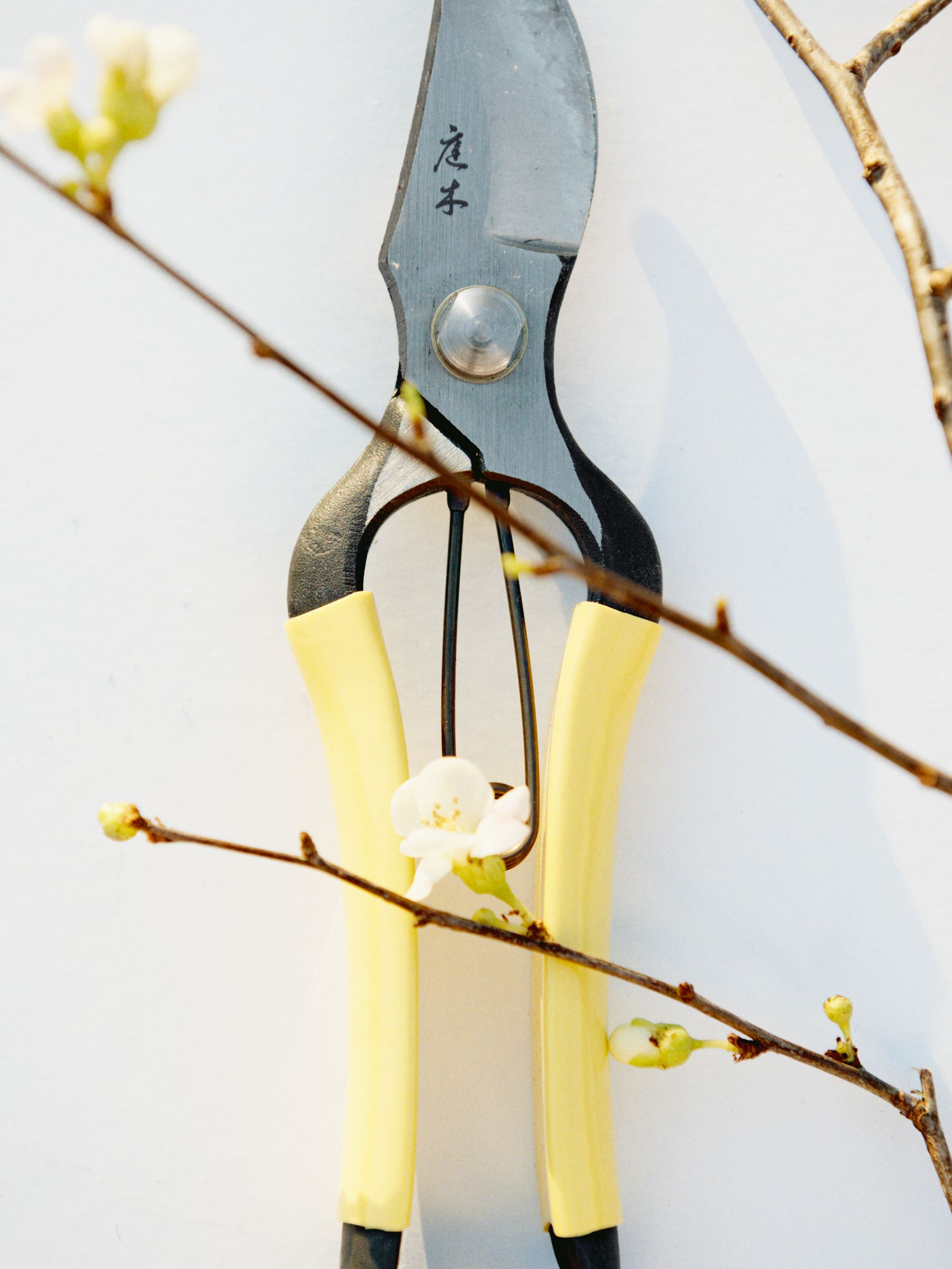 Niwaki Higurashi GR Secateurs - Yellow - Homeware - StillMedia/Environmental - 1