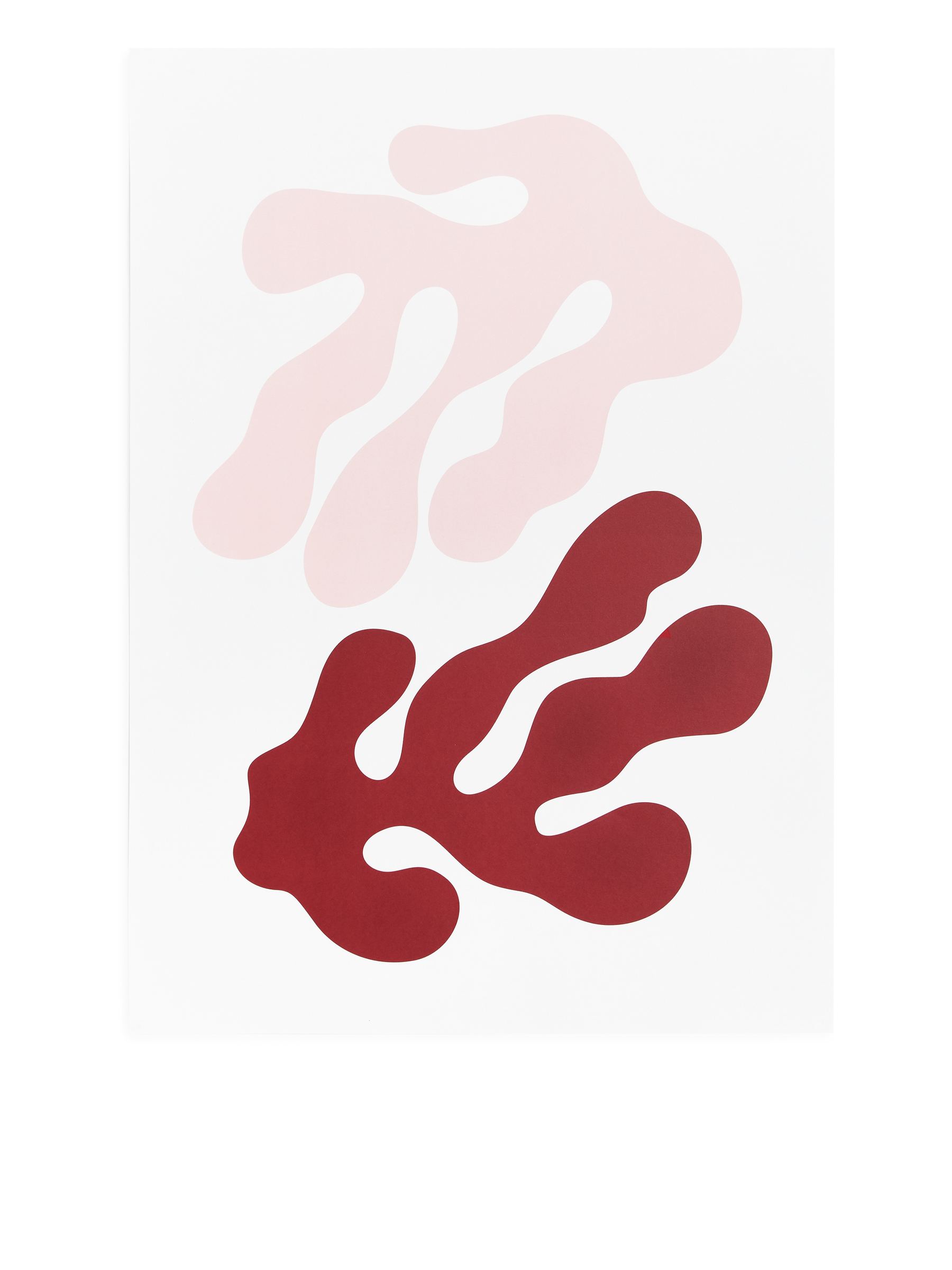 Poster 50 x 70 cm von Postery - Rosa/Weinrot - Haushaltswaren - StillMedia/DescriptiveStillLife - 1