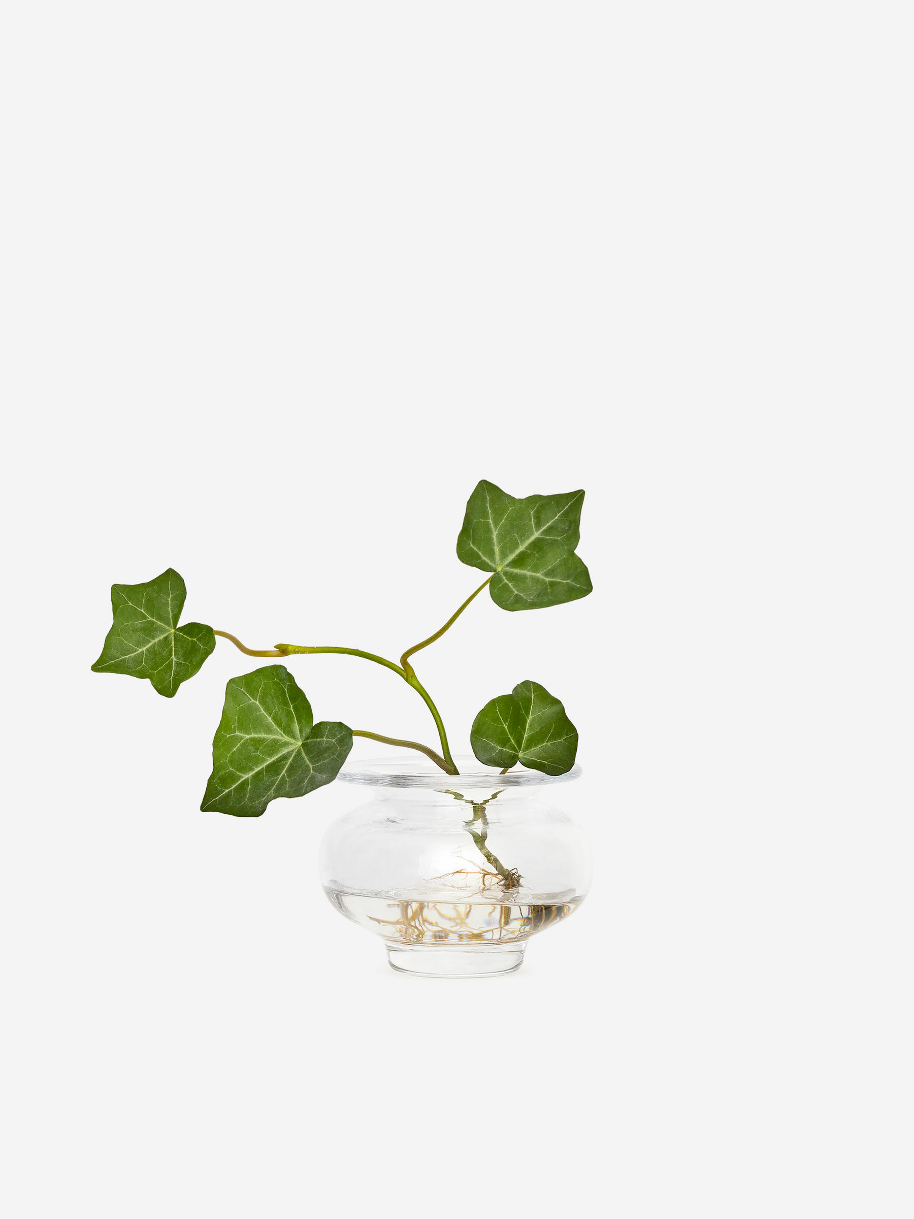 Glass Tealight Holder - Clear Glass - Homeware - StillMedia/DescriptiveStillLife - 2
