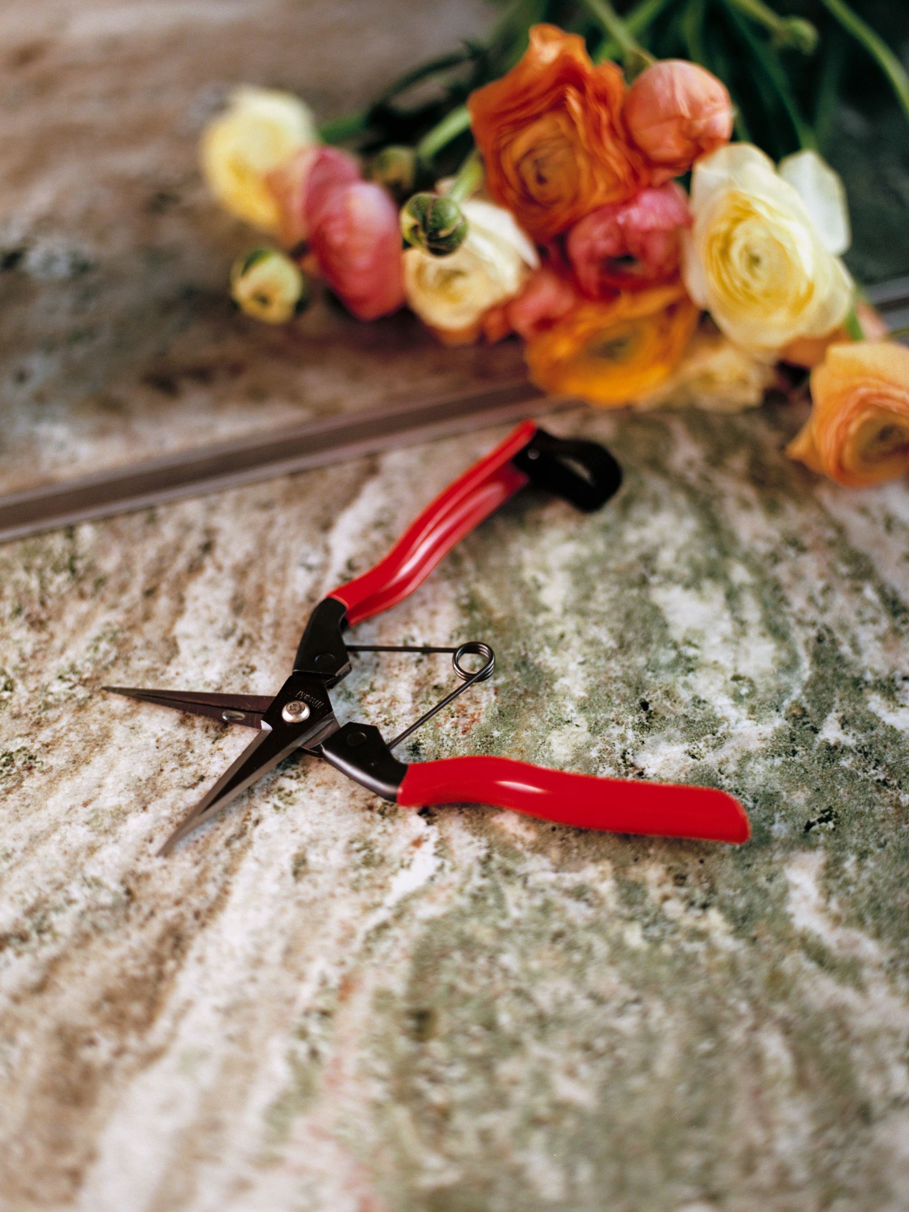 Niwaki Garden Snips - Red - Homeware - StillMedia/Environmental - 1