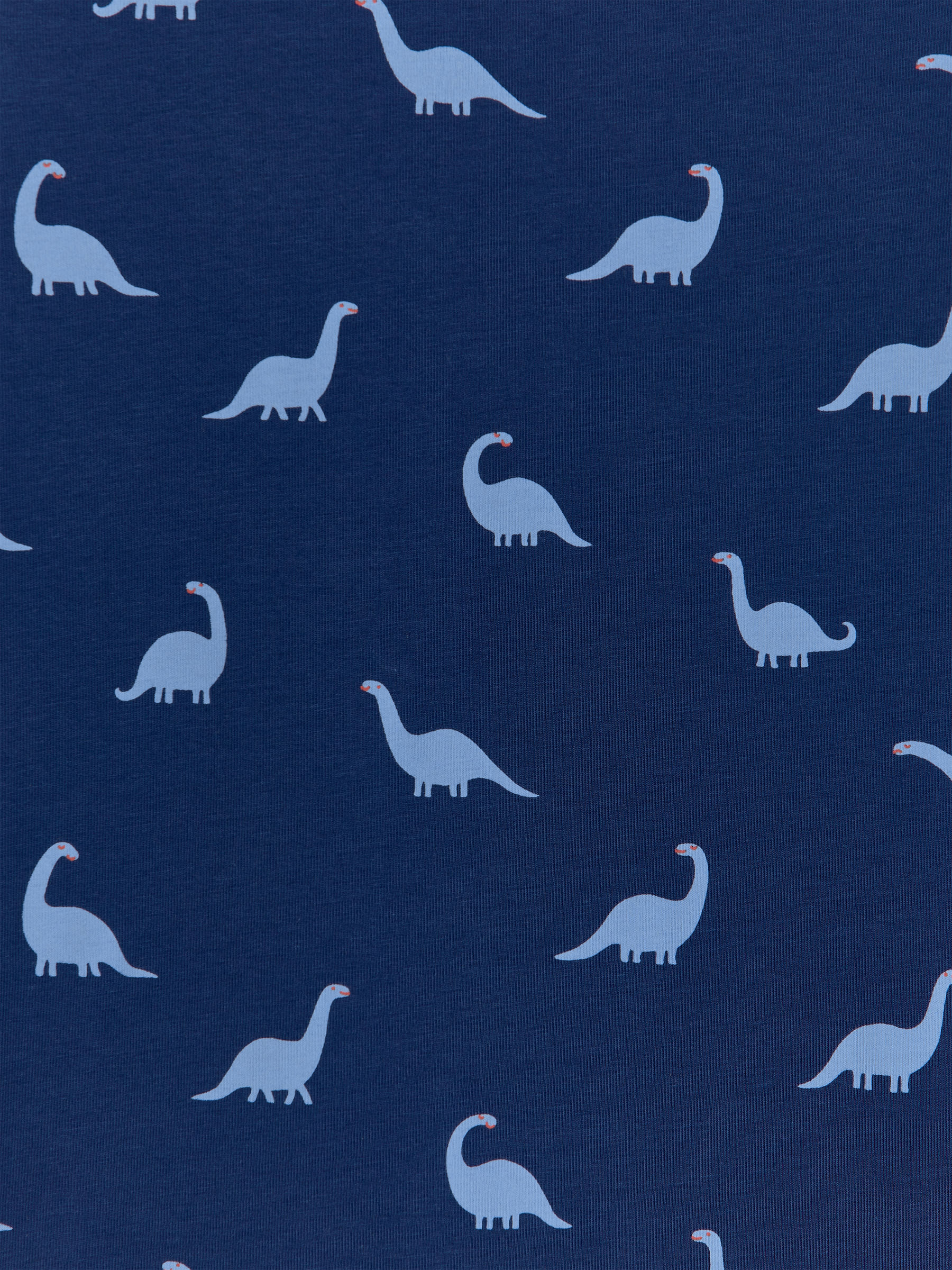 Jersey Pyjama Set - Blue/Dinosaurs - Regular fit - Children - StillMedia/DescriptiveDetail - 1