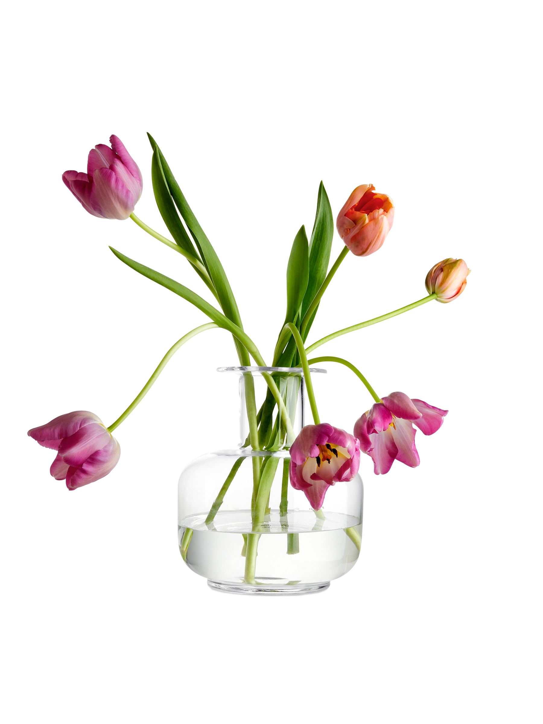 Grand Vase 23 cm - Verre transparent - Maison et décoration - StillMedia/DescriptiveStillLife - 3