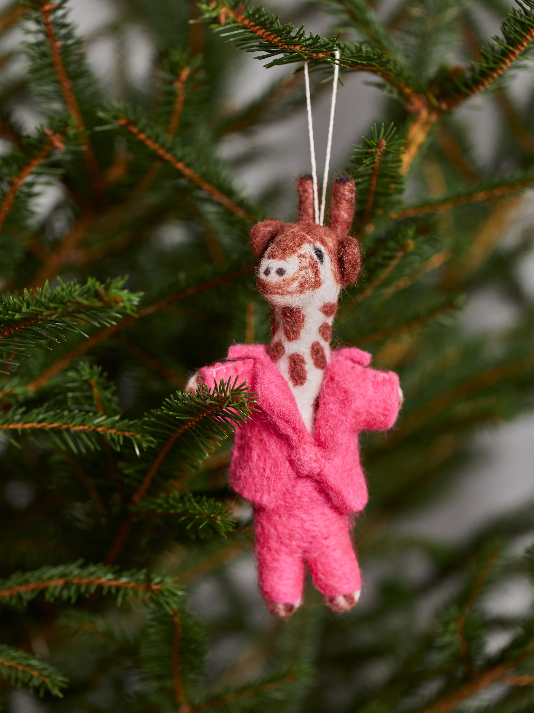 Felt So Good Gregory Giraff - Pink - Homeware - StillMedia/DescriptiveStillLife - 2