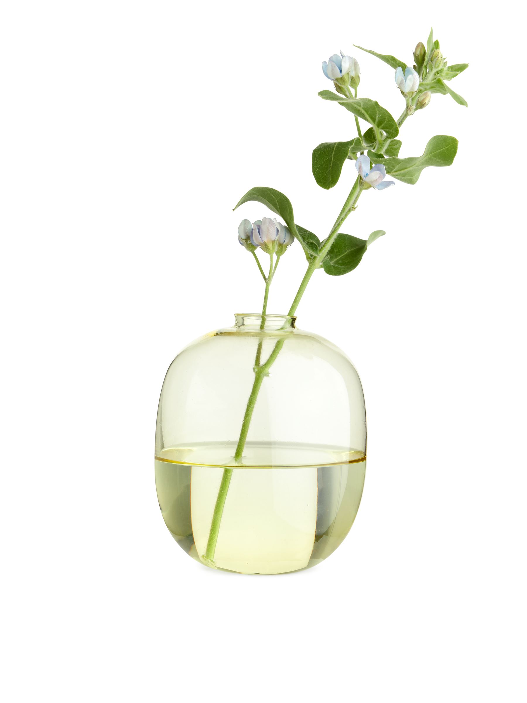 Jarrón de cristal de 12 cm - Amarillo - Homeware - StillMedia/CreativeStillLife - 1