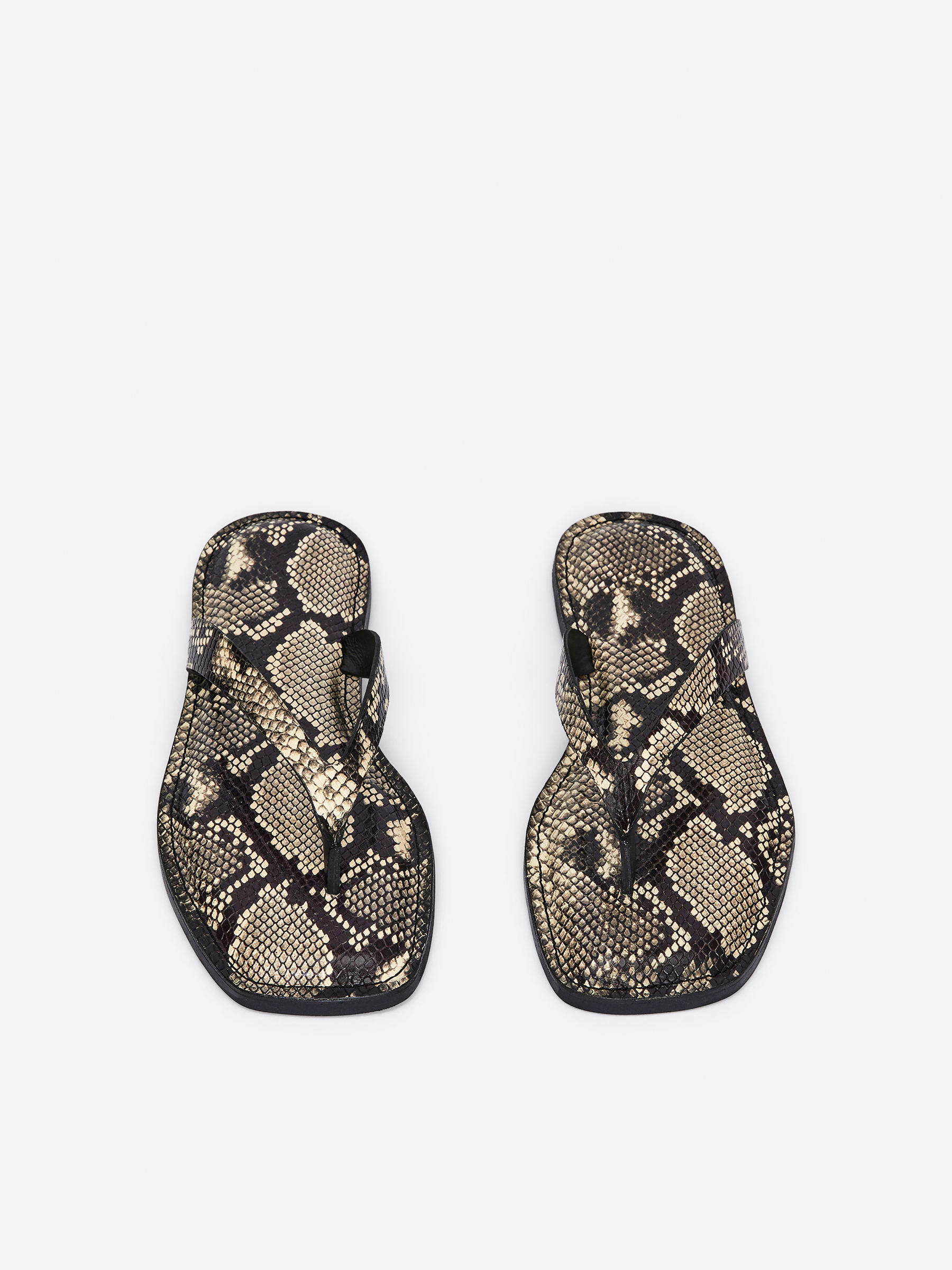 Leather Thong Sandals - Beige/Snake - Women - StillMedia/DescriptiveStillLife - 10