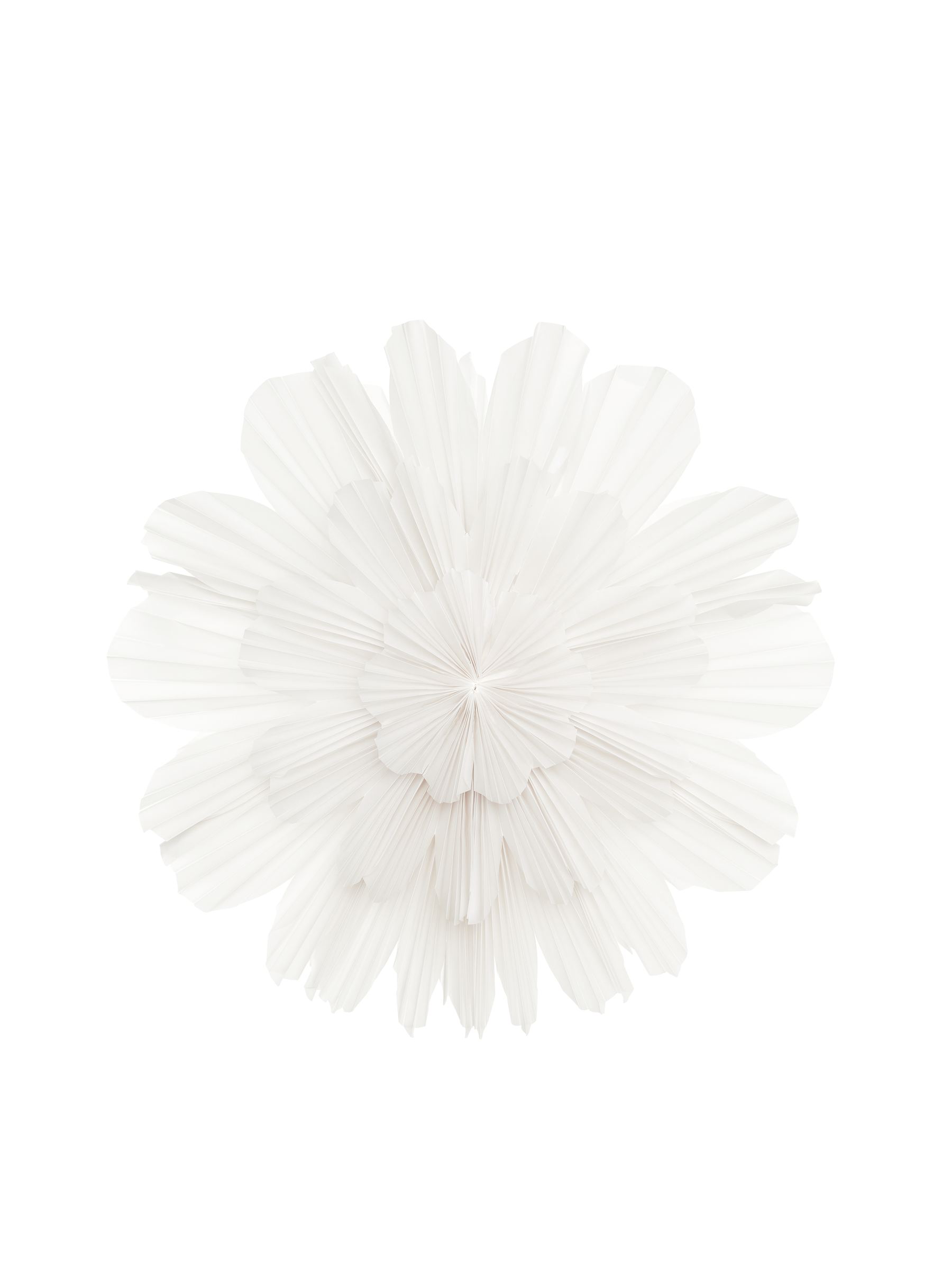 Watt & Veke Snöblomma pappersstjärna - Vit - Homeware - StillMedia/DescriptiveStillLife - 2