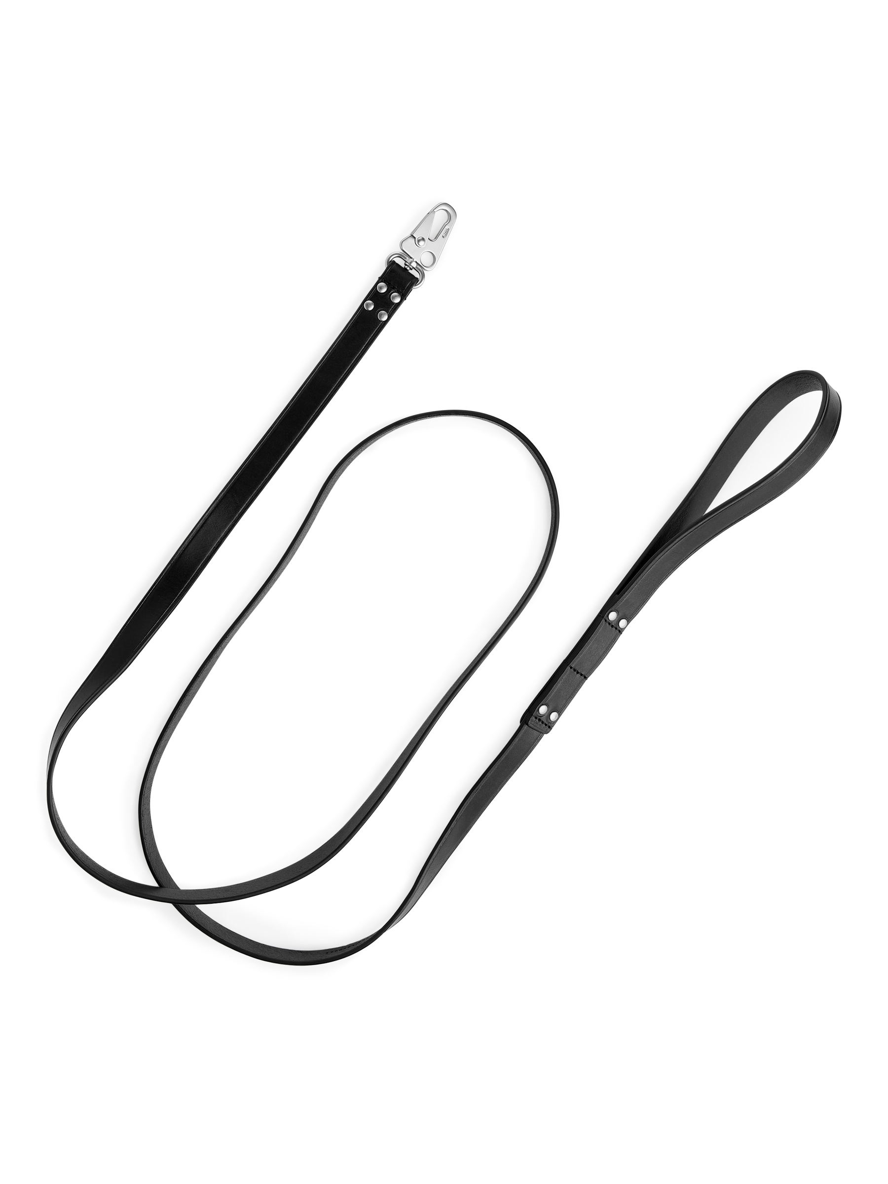 Laisse en cuir - Noir - Homme - StillMedia/DescriptiveStillLife - 1