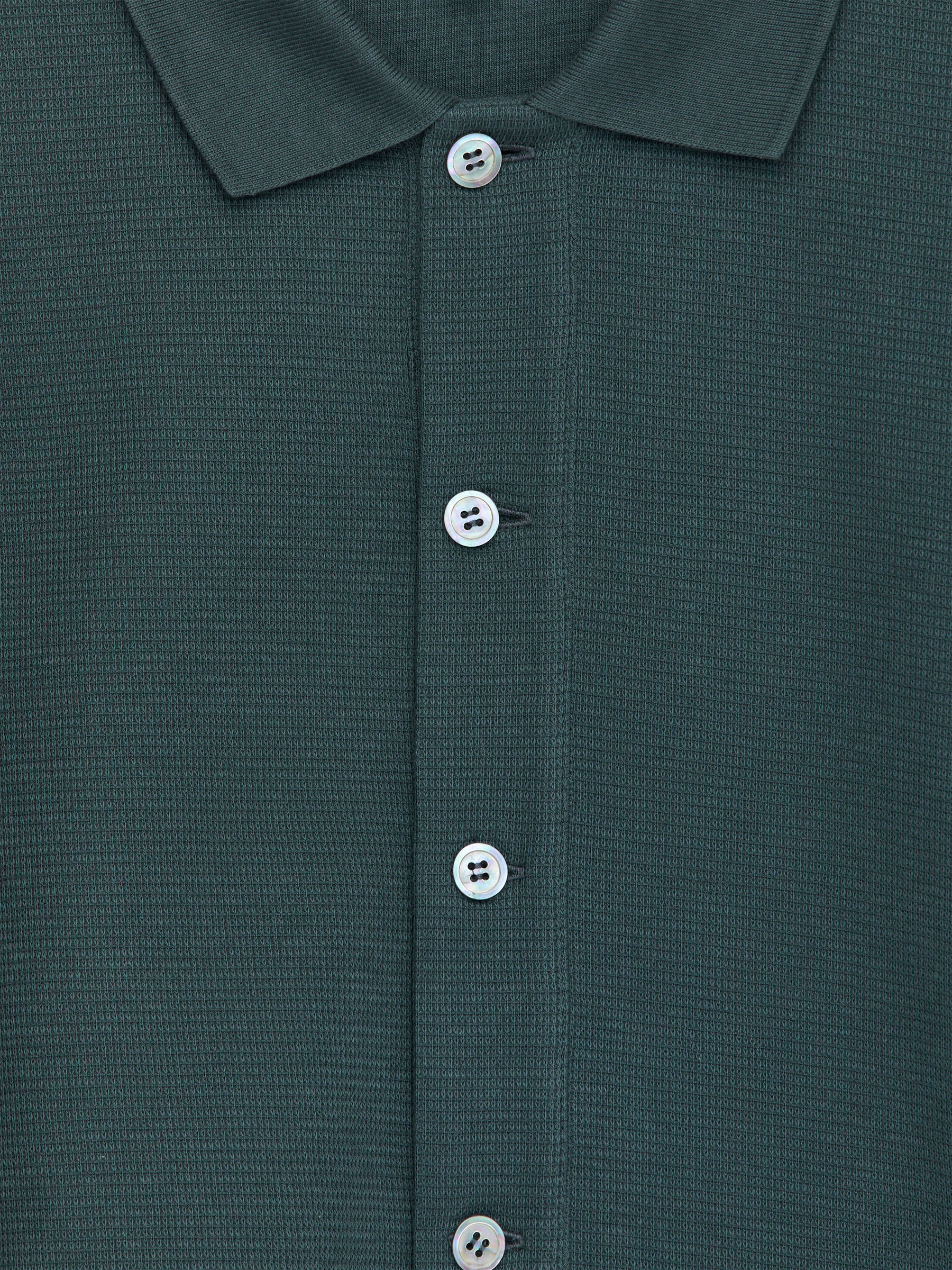 Cotton Jersey Cardigan - Green - Regular fit - Men - StillMedia/DescriptiveDetail - 1