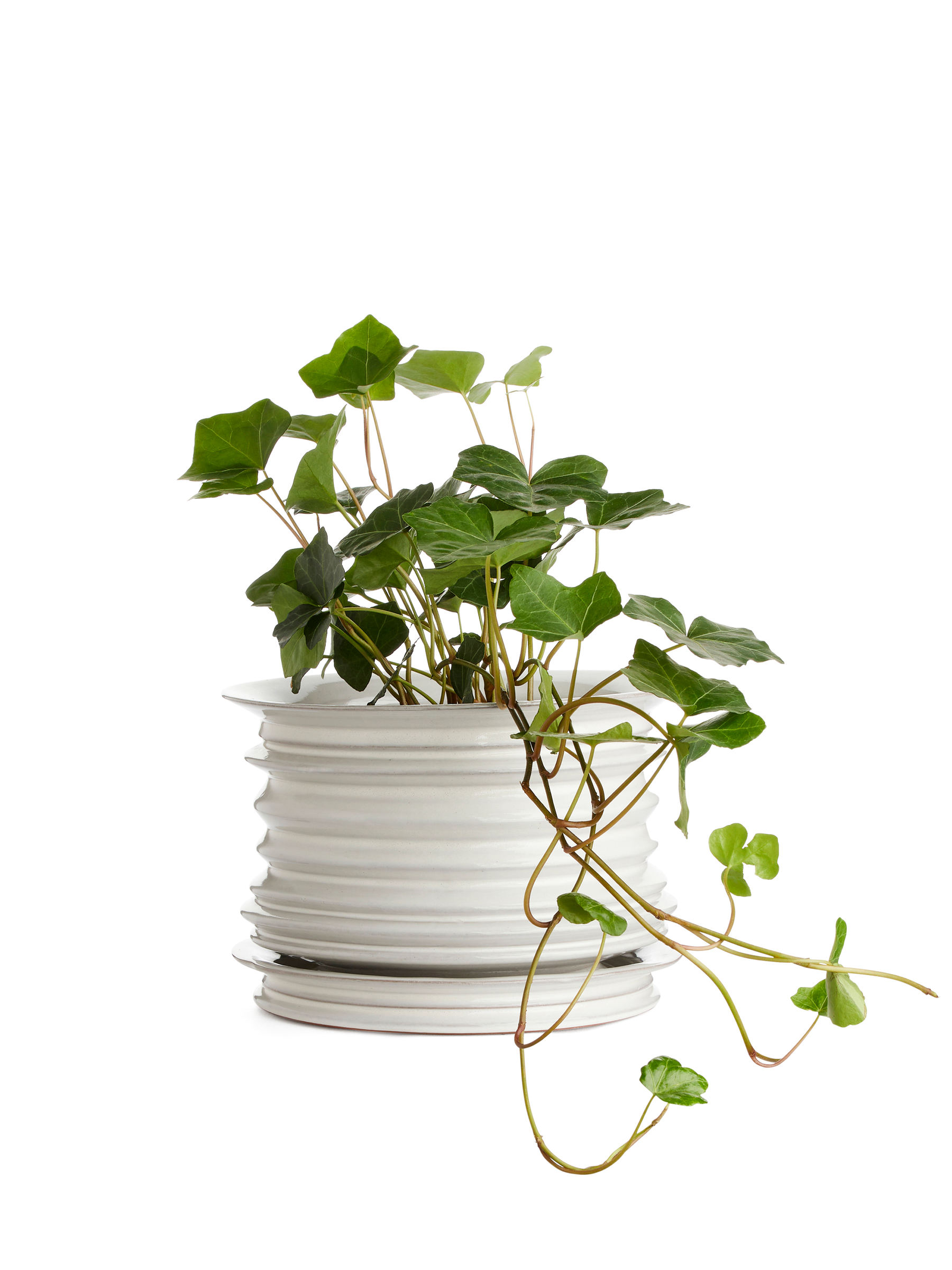 Übertopf aus Keramik, 22 cm - Weiß - Homeware - StillMedia/DescriptiveStillLife - 2