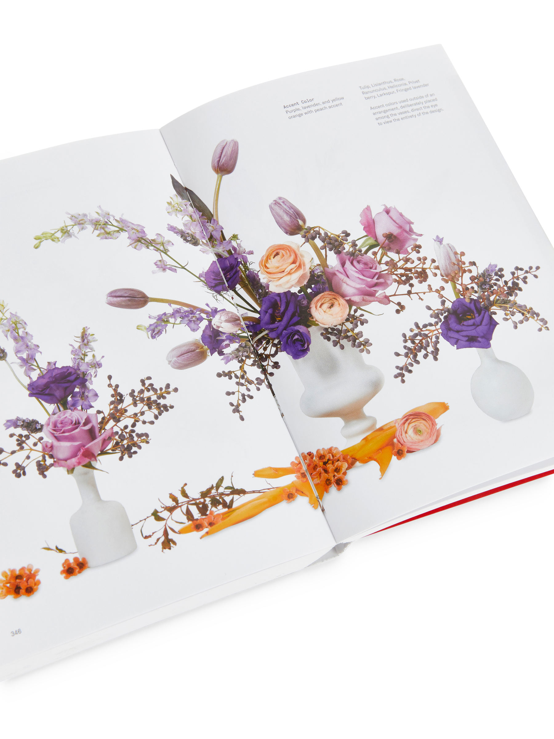 Flower Colour Theory - White - Homeware - StillMedia/DescriptiveDetail - 1