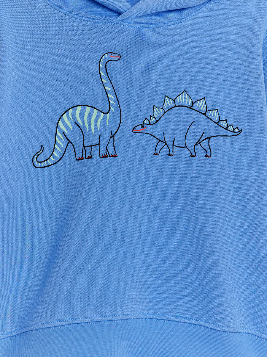 Embroidered Hoodie - Blue/Dinosaurs - Loose fit - Children - 0948368014